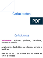 Carboidratos 2012 Completo