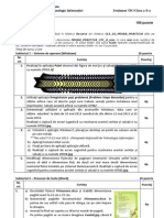 OTI_10_SUBIECT_PROBA_PRACTICA.pdf