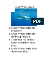 Great White Sharkposter