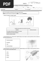 89681405 Diversidade Nas Plantas