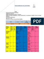 ANATOMÍA Corregido