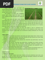 Download Leaflet Jajar Legowo by greensangrilla SN145956969 doc pdf