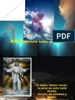 Ascension Del Senor