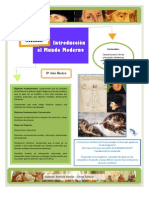 Actividad Introducción Mundo Moderno