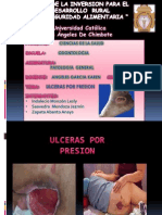 Ulcera Por Presion_protocolo