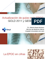 Guia Gold 2011 PDF