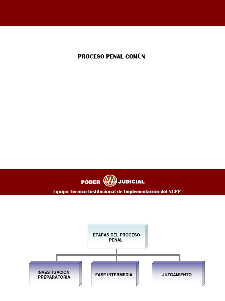 Etapas del Proceso Penal en Perú | PDF | Evidencia (ley) | Derecho penal