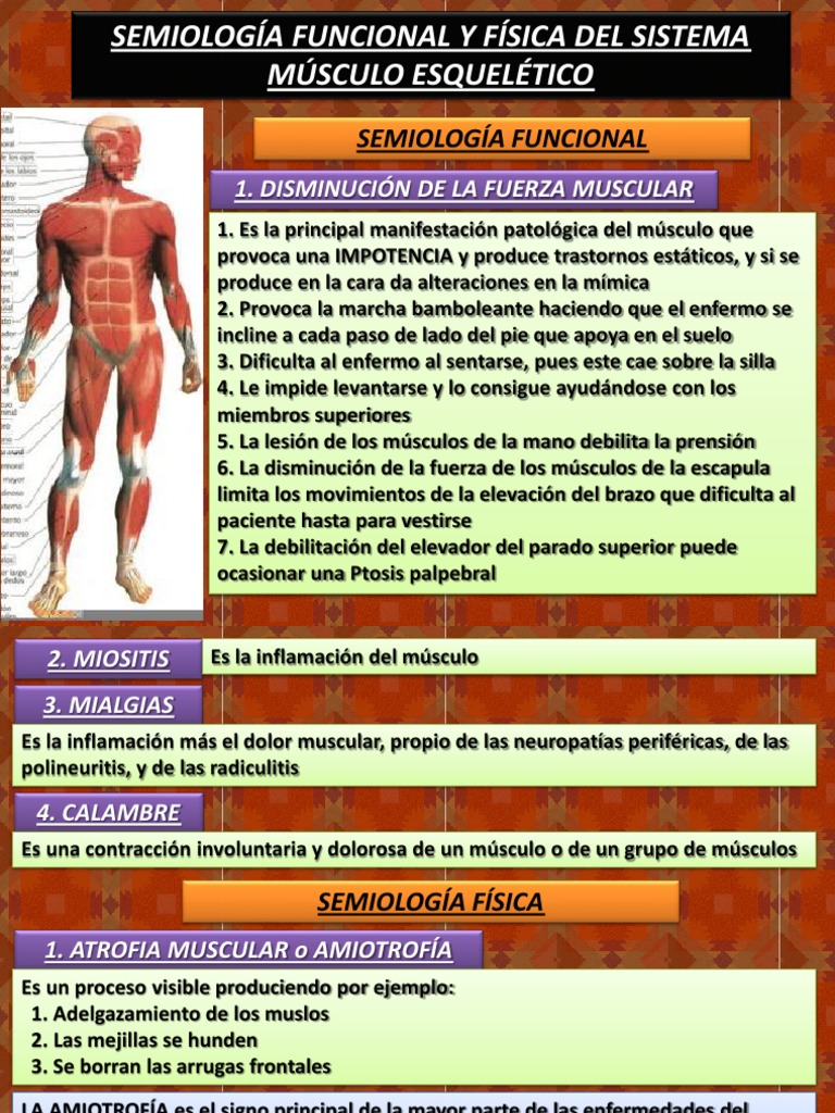 1. SEMIOLOGÍA DEL SISTEMA MÚSCULO ESQUELÉTICO Rodilla