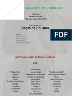As Principais Raças de Equinos no Brasil
