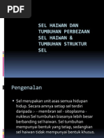 Sel Haiwan Dan Tumbuhan Perbezaan Sel Haiwan &