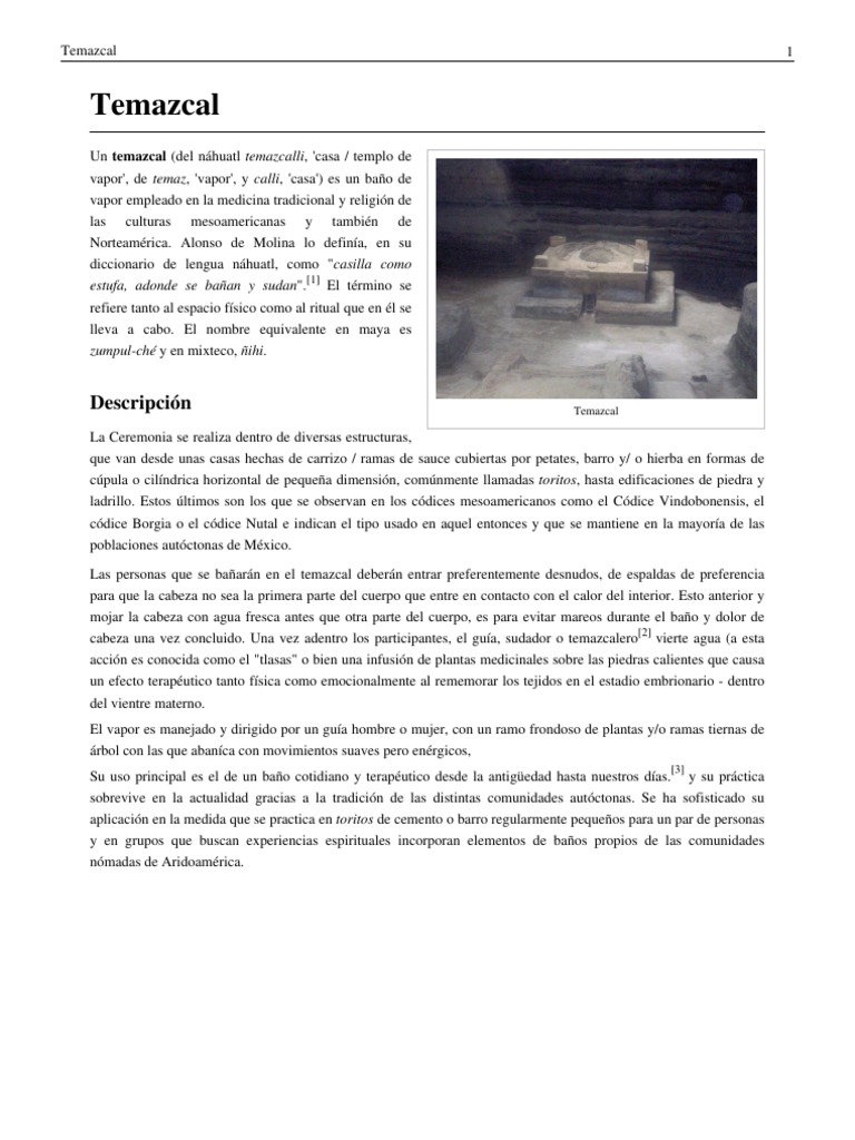 El Temazcal: Ritual y Terapia Ancestral | PDF | Salud y bienestar ...