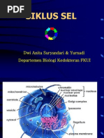 Download Proliferasi Sel by Nadilla SN146030146 doc pdf