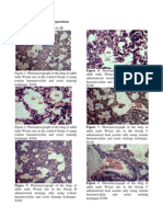 Results of Histology Preparation