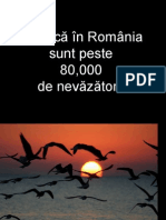 Noi vedem! Ei... Ajutati nevazatorii din Romania