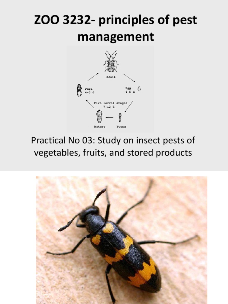ZOO 3232Principles of Pest Management PDF