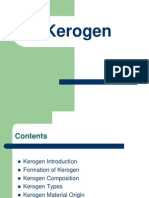 Kerogen