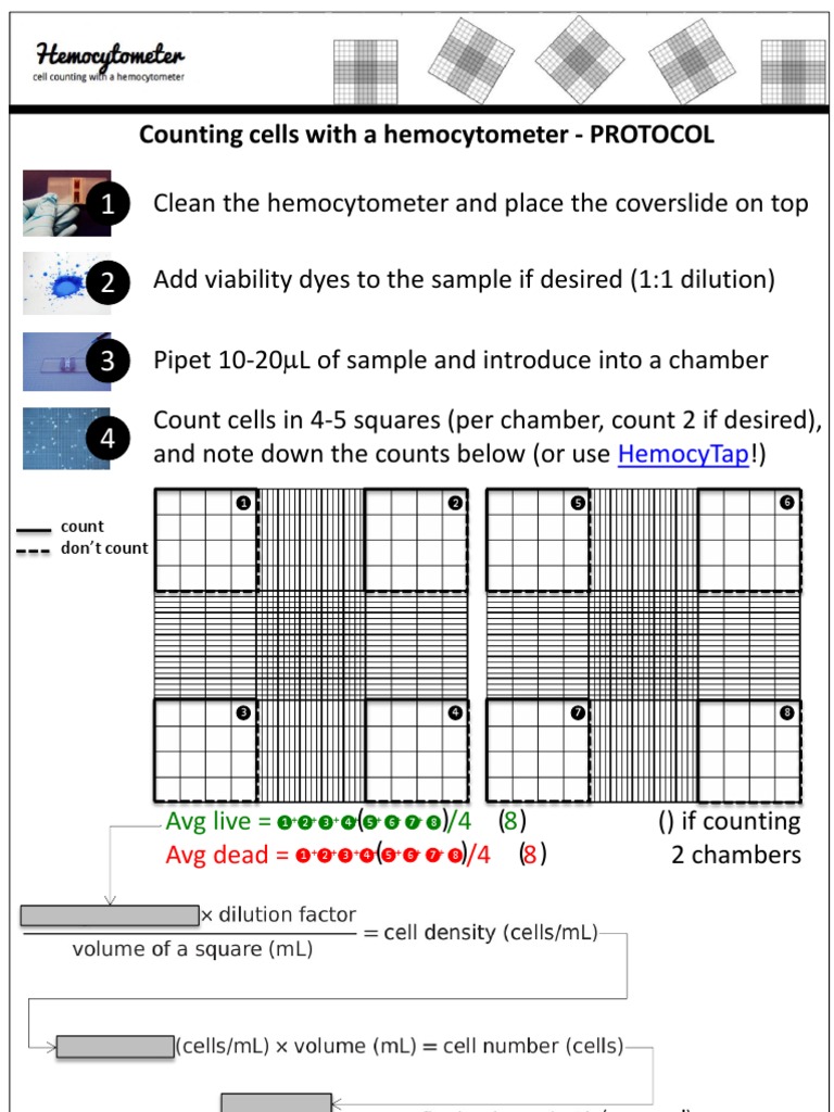 Hemocytometer Protocol PDF Laboratories Chemistry