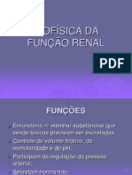 Biofísica e A Função Renal.