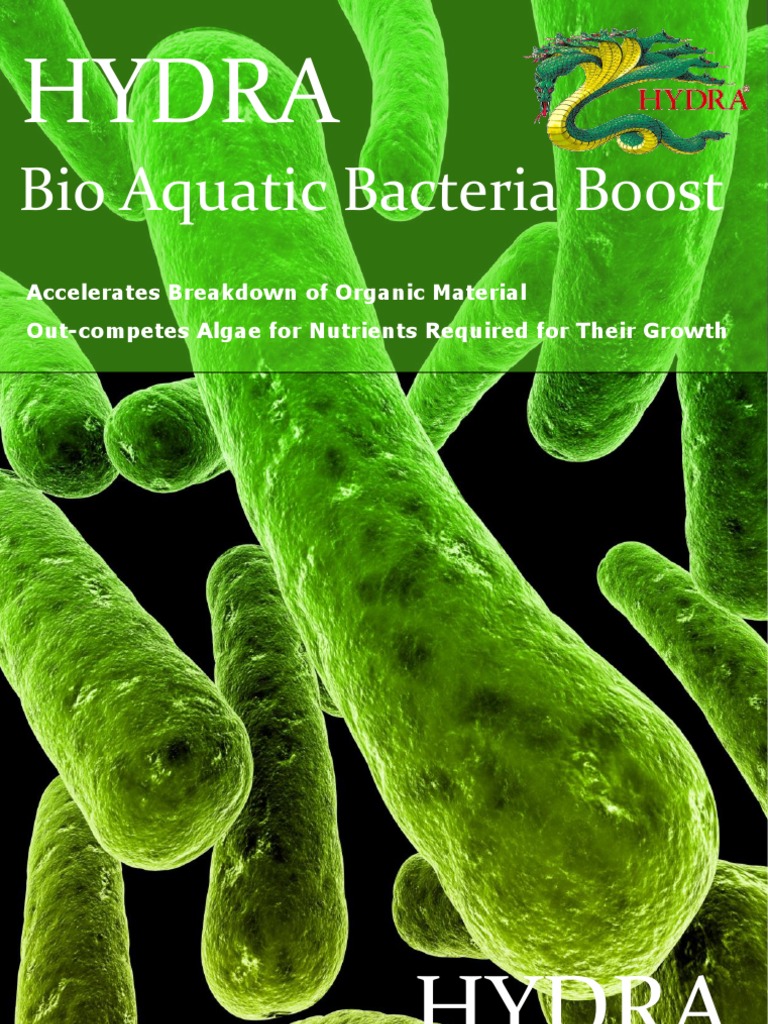 Bio Aquatic Bacteria Boost PDF Nitrate Aquatic Ecosystem