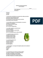 Prueba de Ciencias Naturales Celula y Nutrientes