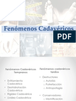 Fenómenos Cadavéricos