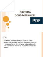 Fibroma Condromixoide