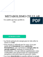 Metabolismo Celular.ppt. Parte i
