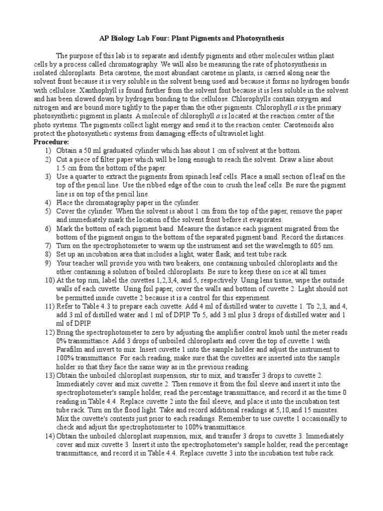 AP Biology Photosynthesis Lab Report Photosynthesis Chlorophyll