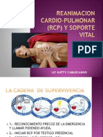 Reanimacion Cardio-Pulmonar (RCP) y Soporte Vital