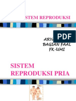 Sistem Reproduksi Kk FK-UMI