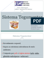 Sistema Tegumentar