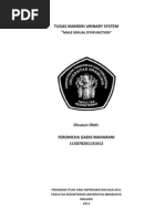 Download Tugas Mandiri Urinary Sistem Male Sexual Dysfunction by Abienk CiLik SN146234833 doc pdf