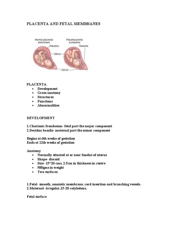 Placenta & Fetal Membranes Guide | PDF