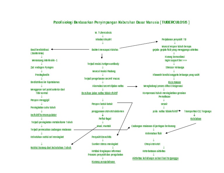 6 TBC Penyimpangan KDM | PDF