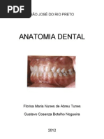 Apostila Anato Dental