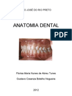 Apostila Anato Dental