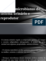 Seminário Doenças Microbianas Do Sistema Urinário e Reprodutor