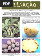 DIVULGAÇÃO_A Traça da batata_edição_2012