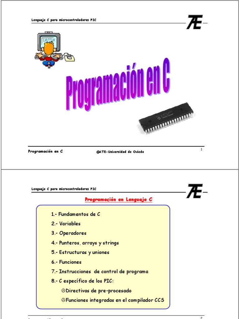 Programacin en C PDF | PDF | Estructura de datos de matriz | Puntero ...