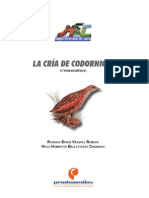 Codornices.pdf