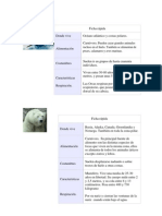 Fichas Informativas Animales