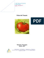 Ficha Tomate PDF