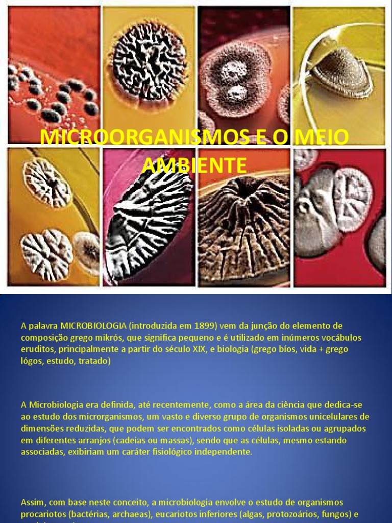 1 - Microorganismos e o Meio Ambiente 2 | PDF | Microrganismo | Bactérias