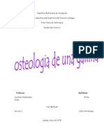 Informe Del Seminario de Osteologia de La Gallina JUAN