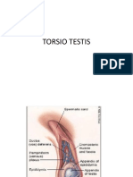 Torsio Testis