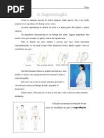 3º ano-Ficha12