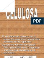 celulosa-090928085859-phpapp02