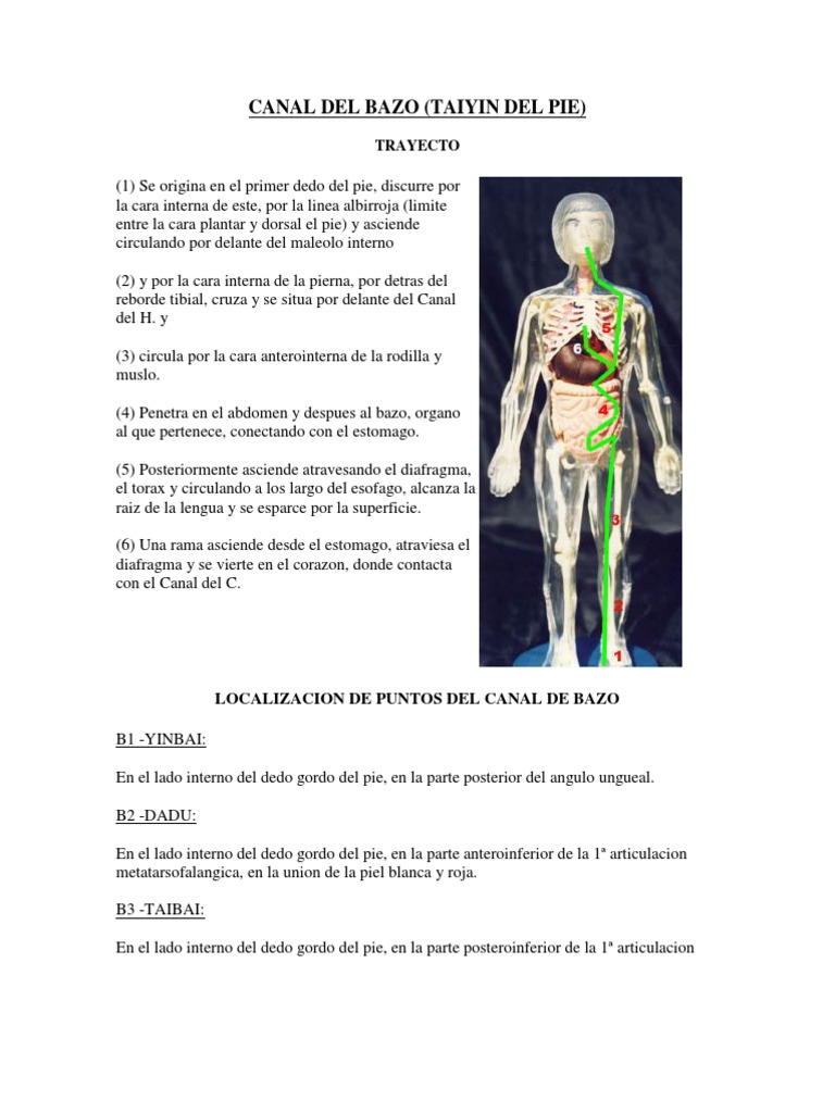 Trayecto y puntos clave del Canal del Bazo (Taiyin del Pie) | PDF