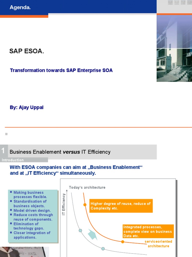 SAP ESOA Transformation Agenda | PDF | Sap Se | Service Oriented ...