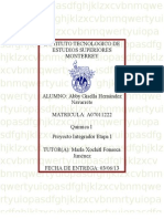 Química I MII-U4. - Proyecto Integrador Etapa I